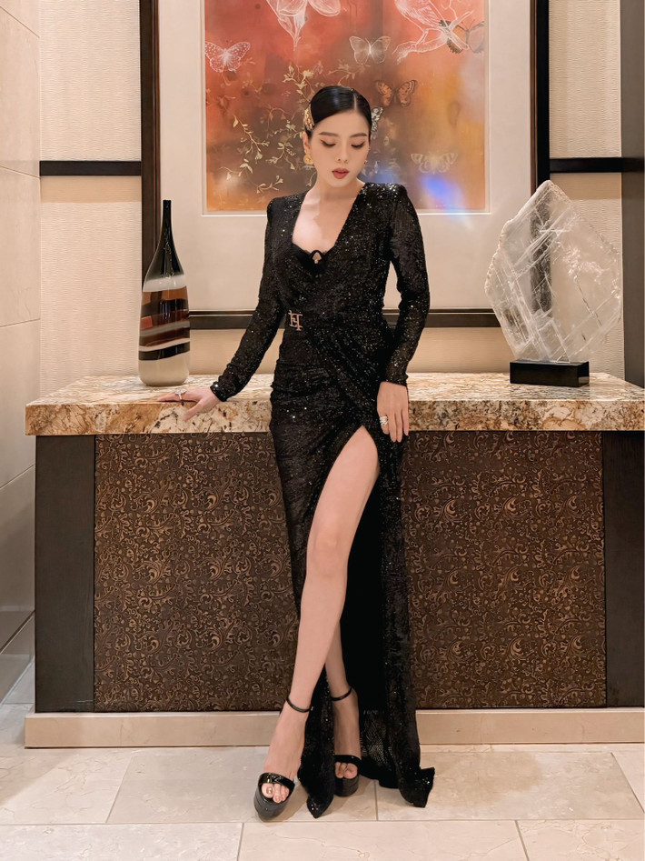 Sau nhiều năm hoạt động nghệ thuật, Lệ Quyên được ưu ái gọi là "Nữ hoàng phòng trà" và sở hữu khối tài sản đáng nể. Ảnh: FBNV