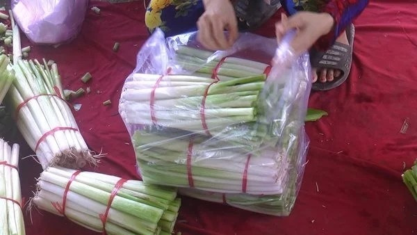 Rau mác bán về thành phố phải làm sạch, đóng túi cẩn thận và bảo quản lạnh sẽ được lâu hơn. Ảnh: Một thế giới