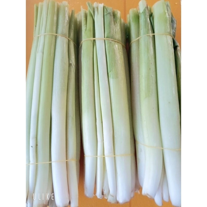 Tại các chợ miền Tây hay chợ mạng, rau mác có giá dao động từ 80.000 - 90.000 đồng/kg. Ảnh: Shopee
