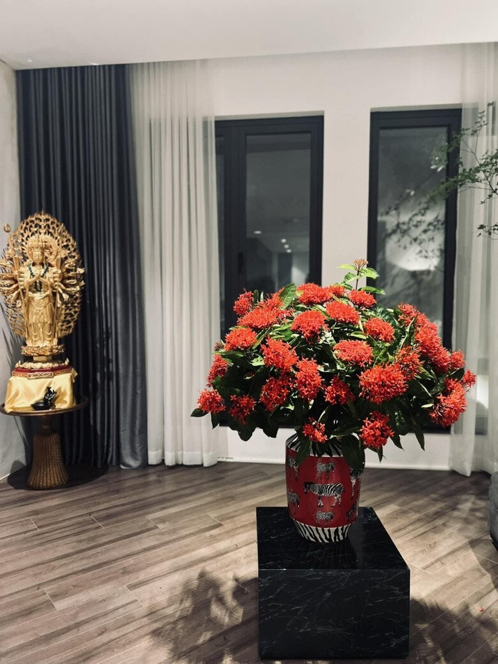 Mẫu đơn đỏ nổi bật trên nền tường kính và rèm trắng. Ảnh: FB Ngoc Trinh Duong