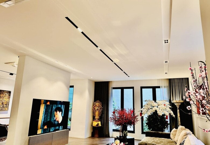 Phòng khách ngập ánh sáng tự nhiên, được tô điểm bởi các loại hoa như lan hồ điệp, đào, mai...Ảnh: FB Ngoc Trinh Duong