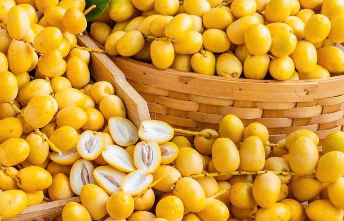 Chà là tươi Thái Lan quả vừa, màu vàng tươi, vị ngọt thanh xen chút chất nhựa khi chưa chín hoàn toàn, thích hợp ăn tươi hoặc chế biến. Ảnh: Facebook