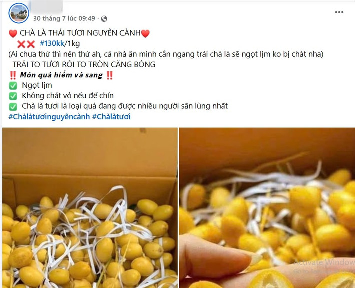 Nhưng gần đây, chà là tươi nguyên cành được bày bán la liệt tại các sạp hoa quả, trên xe hàng rong và trên chợ mạng với giá chỉ từ 69.000-180.000 đồng/kg khiến nhiều người bất ngờ. Ảnh chụp màn hình