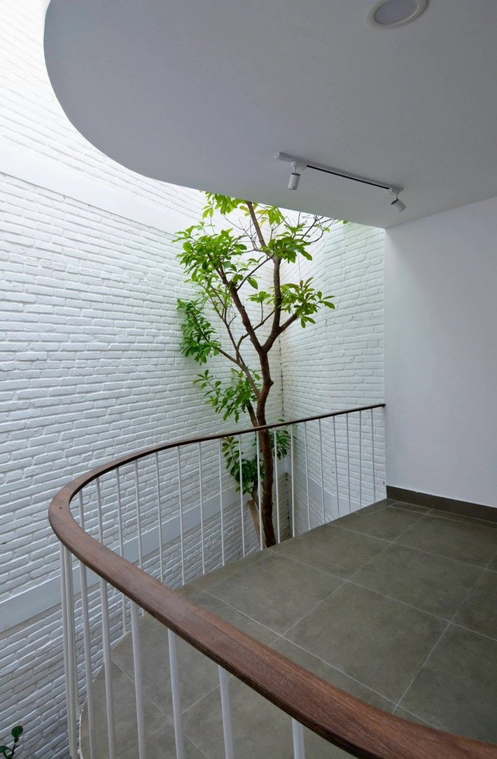 Màu xanh của cây cối mang đến nguồn năng lượng tươi mới cho không gian. Ảnh: D13 atelier