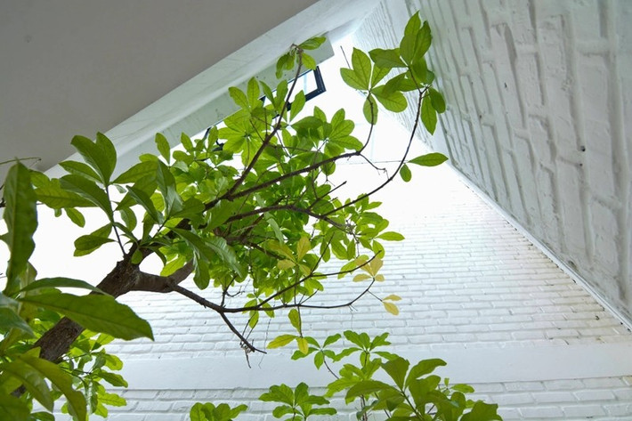 Ngoài hạn chế thường gặp ở nhà phố như thiếu sáng, bí bách, công trình còn gặp hạn chế bởi khu đất méo, zigzag và nhiều góc chết. Ảnh: D13 atelier