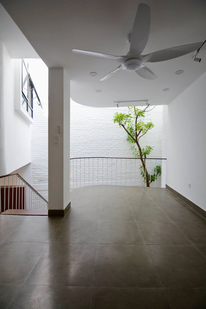 Cây thân gỗ được trồng tại lối cầu thang bên dưới giếng trời. Ảnh: D13 atelier