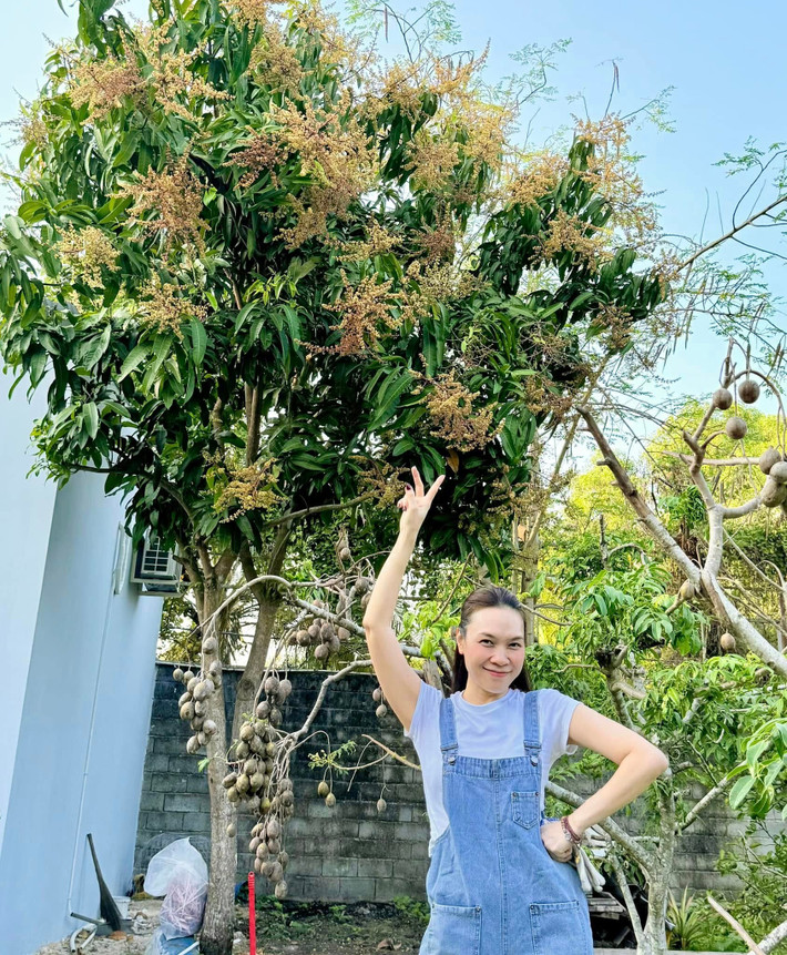 Ngoài căn biệt thự hoành tráng tại Phú Nhuận, ca sĩ Mỹ Tâm còn sở hữu một căn nhà vườn rộng hàng nghìn mét vuông ở Củ Chi (TP HCM). Ảnh: FB My Tam
