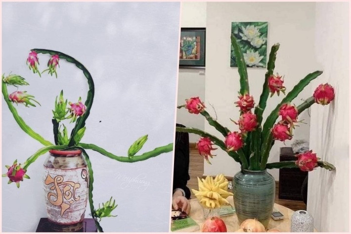 Cành thanh long đẹp phải đứng được cành đồng thời có độ vươn, độ ngả vừa phải. Ảnh: Suckhoedoisong
