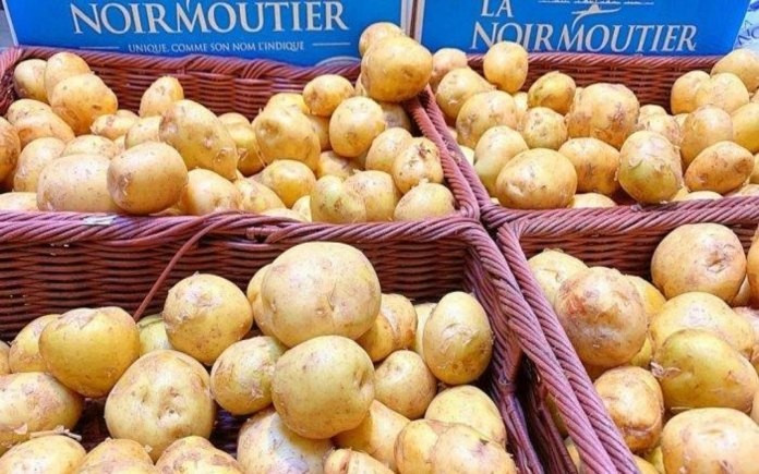 Đây là lý do khiến người ta tranh nhau mua La Bonnotte mỗi khi vào mùa. Ảnh: Ouest-France