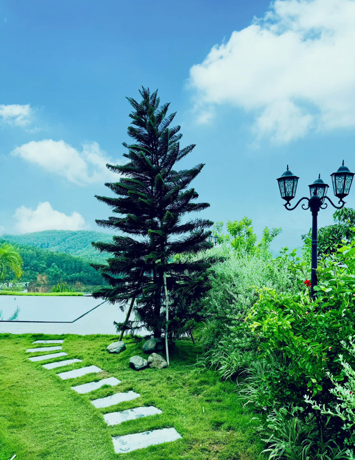 Một góc khác trong căn nhà khiến nhiều người ví như Đà Lạt. Ảnh: FBNV