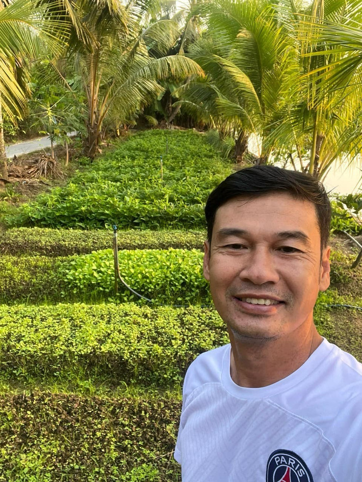 Vườn rau xanh mướt mà nhiều người ao ước. Ảnh: FBNV