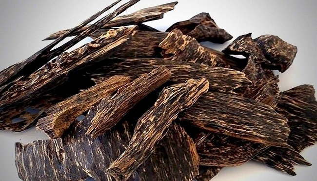 Trong số các loại gỗ quý hiếm, trầm hương được mệnh danh là "gỗ của các vị thần". Vài thế kỷ trôi qua, đến nay trầm hương vẫn là một trong những loại gỗ đắt nhất thế giới. Ảnh: Thegioitramhuong