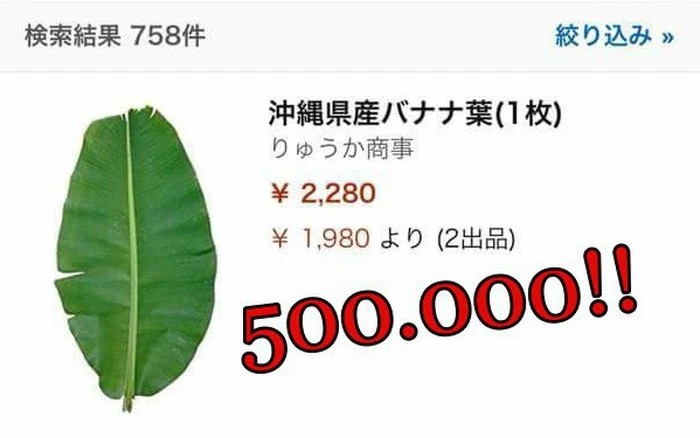 Tại Nhật Bản, một chiếc lá chuối tươi được rao bán trên trang Amazon với giá 2.280 yên, tương đương hơn 400.000 đồng. Ảnh: Amazon