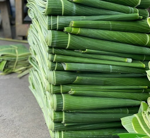 Vào đợt lễ, Tết, giá lá chuối cao khoảng 6.500 đồng/kg, tùy chất lượng lá, thu về hơn 1 triệu đồng/ngày. Ảnh: Internet