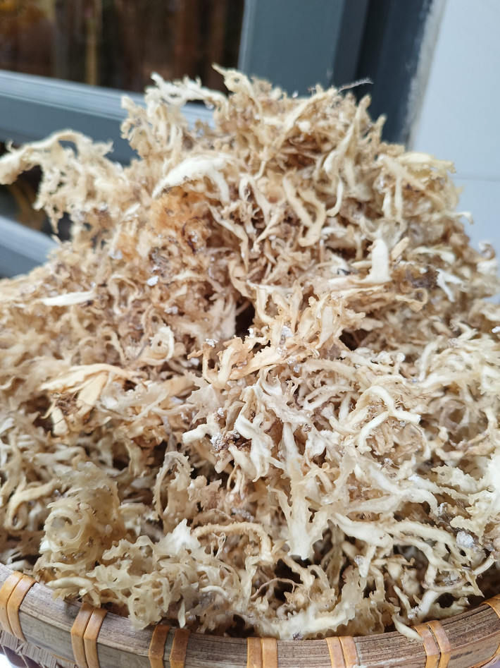 Một người dân ở Phú Quốc chia sẻ, rau đá biển có quanh năm, mỗi ngày người dân có thể thu về từ 5 - 7kg rau đá biển. Ảnh: Facebook