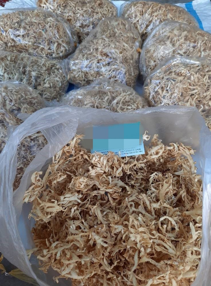 Người dân vùng biển thường rau đá biển là "lộc trời" bởi đem lại thu nhập không nhỏ. Ảnh: Facebook