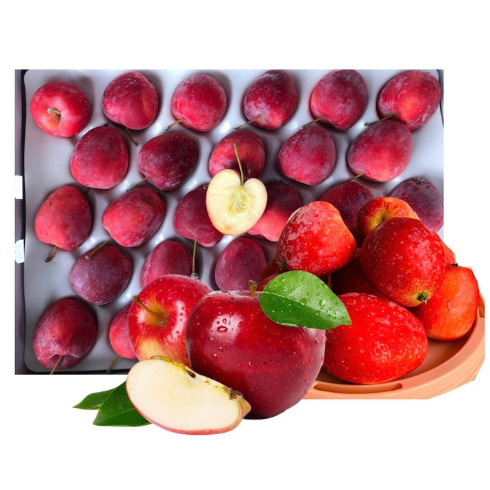 Theo người bán, táo cherry bắt đầu xuất hiện nhiều từ đầu tháng 9. Loại táo này quả nhỏ như mận to nhưng giòn, vị ngọt và thơm nhẹ. Ảnh: Sieuthiluxy