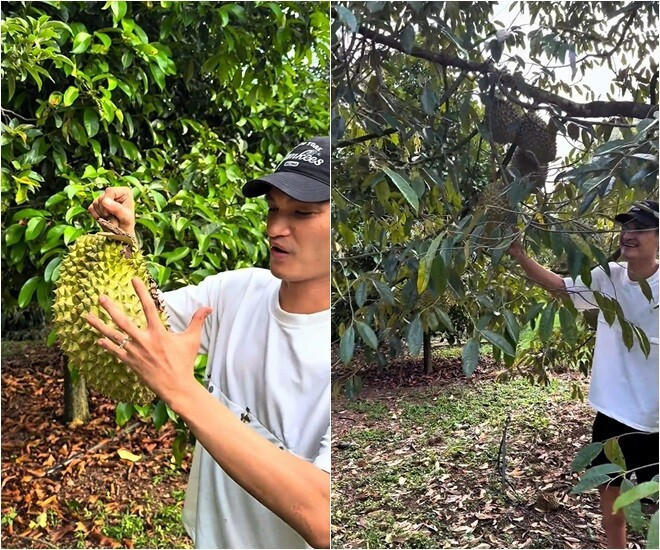 Nam diễn viên hài chia sẻ cảm xúc được trải nghiệm đi nhặt sầu riêng trong khu vườn và ăn tới no nê. Ảnh chụp màn hình