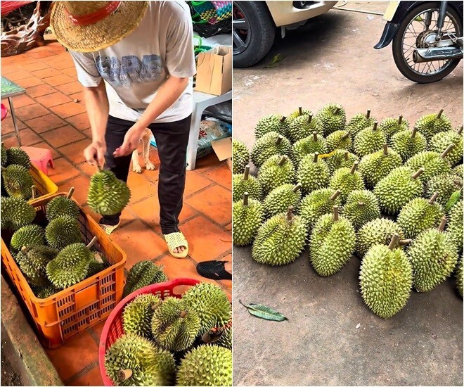 Mạc Văn Khoa được thưởng thức 4 loại sầu riêng, có cả sầu riêng khổ qua. Ảnh chụp màn hình