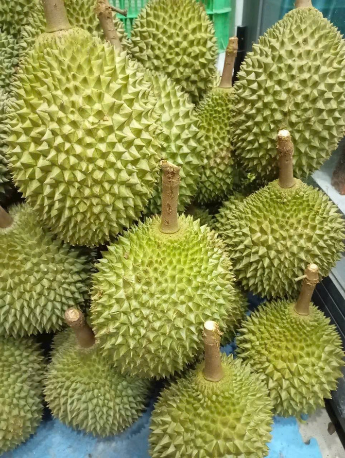 Hiện nay, giá sầu riêng Musang King giảm do nguồn cung dồi dào, đặc biệt là loại sầu riêng này đã trồng tại Việt Nam. Ảnh: Facebook