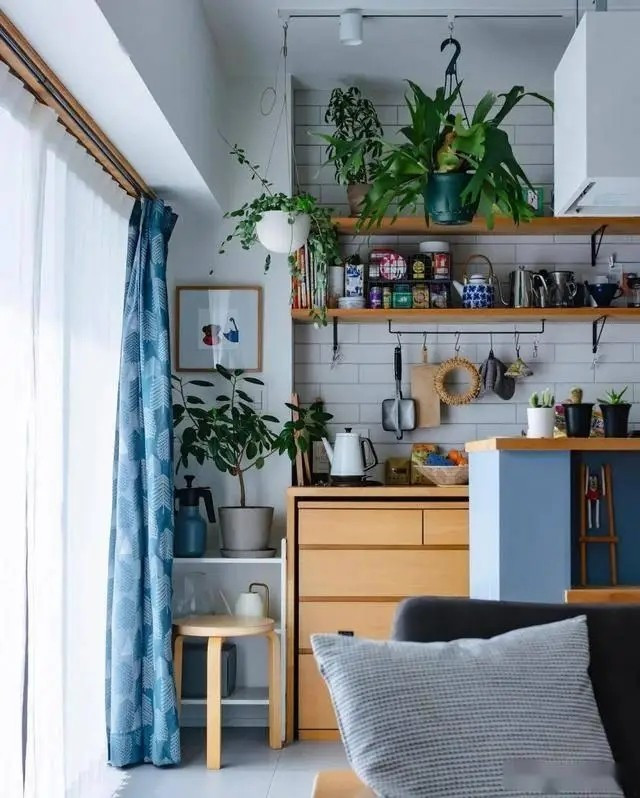 Sự kết hợp giữa màu gỗ tự nhiên, màu xanh nhạt và cây xanh lá cây tạo nên vẻ sạch sẽ và tươi mới. Ảnh: 6parkbbs