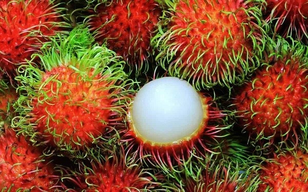 Chôm chôm là trái cây phổ biến tại Việt Nam, thường có màu đỏ xanh với lớp lông gai mềm, thịt quả bên trong có màu trắng. Ảnh: WELOFARM