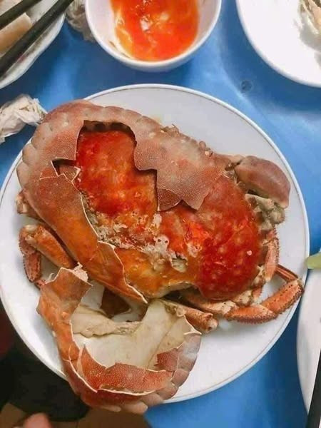 Theo một số chủ cửa hàng, cua nâu Na Uy xuất hiện tại thị trường Việt từ vài năm nay. Cua có thân màu nâu sẫm, mai to, nhiều gạch. Ảnh: Facebook