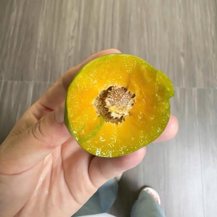 Khi ăn mận cau Mông Tự (Trung Quốc) vị giòn, ngọt đậm pha lẫn chút chua thanh, mọng nước và róc hạt. Ảnh: Facebook