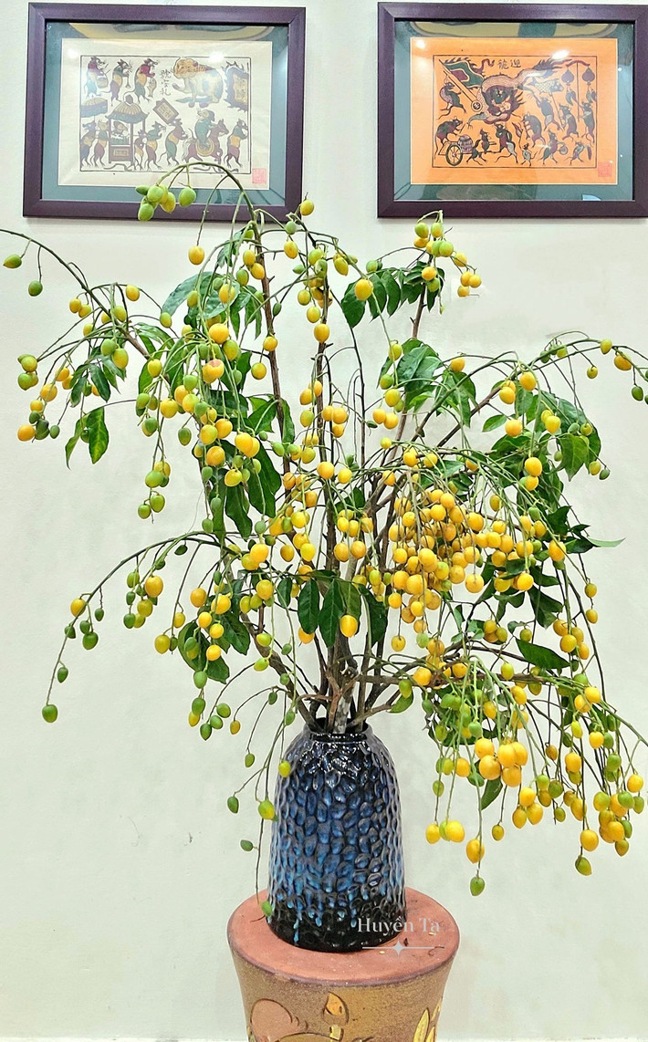 Chị Tạ Huyền (sinh sống ở Phú Thọ) là người yêu thiên nhiên, yêu hoa và luôn thích sự sáng tạo. Thấy cắm các loại quả, cây đẹp lạ, chị Huyền quyết định thử và rồi yêu thích. Ảnh: Huyền Tạ