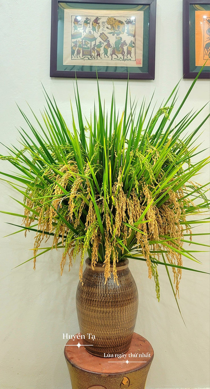 Lúa nhà cô bạn cùng trường được chị Huyền đưa lên bình gốm đầy nghệ thuật. Ảnh: Huyền Tạ