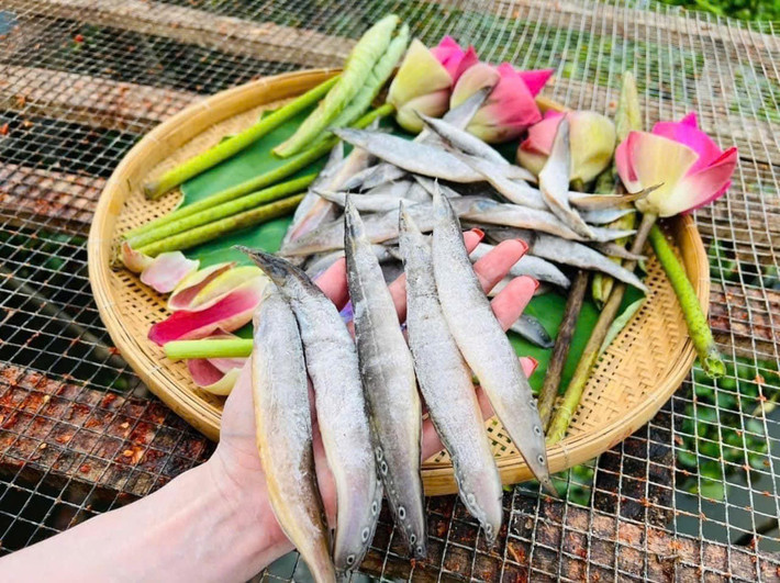 Để làm khô, người ta chọn cá chạch tươi, cạo sạch nhớt rồi ngâm muối loãng, sau đó ướp chút gia vị, ớt và phơi nắng. Ảnh: Facebook