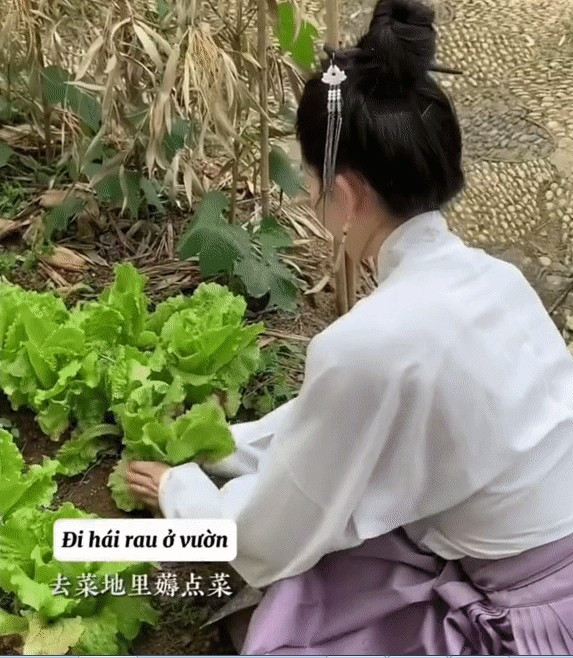 Đào Hỷ Nhi còn trồng thêm các loại hoa và rau củ yêu thích trong khu vườn của mình. Ảnh: Sohu