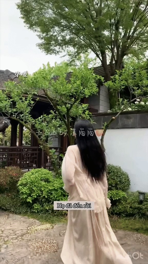 Trong vườn trồng nhiều cây cổ thụ và quý hiếm, được nhân viên cắt tỉa hàng tuần để đảm bảo luôn tươi tốt và xanh mát. Ảnh: Sohu