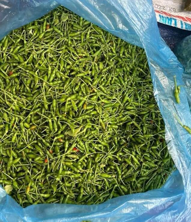 Khác với những loại ớt thông thường, giá chỉ vài chục nghìn đồng/kg, ớt gió có giá lên tới 1 triệu đồng/kg khiến nhiều người sửng sốt. Ảnh: Facebook