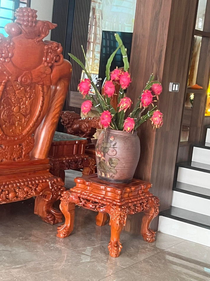 Cành thanh long rất khỏe, có độ bền lâu, thoải mái chơi trong nửa tháng hay thậm chí cả tháng. Ảnh: Facebook