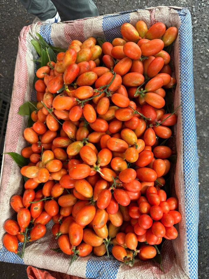 Do cây mọc tự nhiên ngày càng hiếm nên sản lượng bán ra thị trường không nhiều. Trên thị trường, quả máu được rao bán với giá 250.000 đồng/kg. Ảnh: Facebook