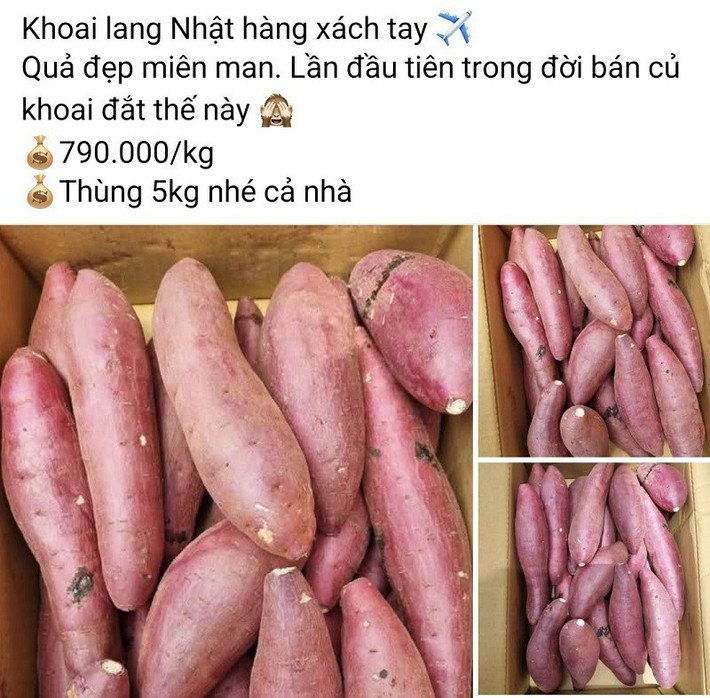 Nhưng gần đây, trên thị trường xuất hiện khoai lang Nhật xách tay giá cao gấp nhiều lần, từ 450.00 - 790.000 đồng/kg khiến nhiều người "hoa mắt". Ảnh chụp màn hình