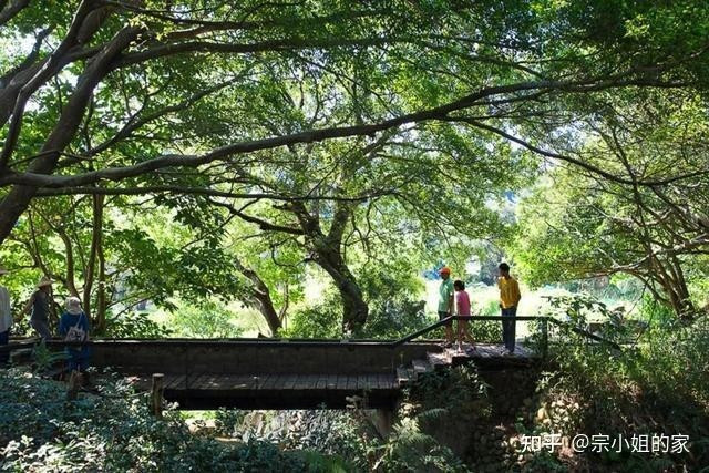 Những con kênh, cầu gỗ, vườn rau xen kẽ trong khuôn viên làng tạo cảm giác như đang sống giữa một vùng quê thơ mộng. Ảnh: The Paper