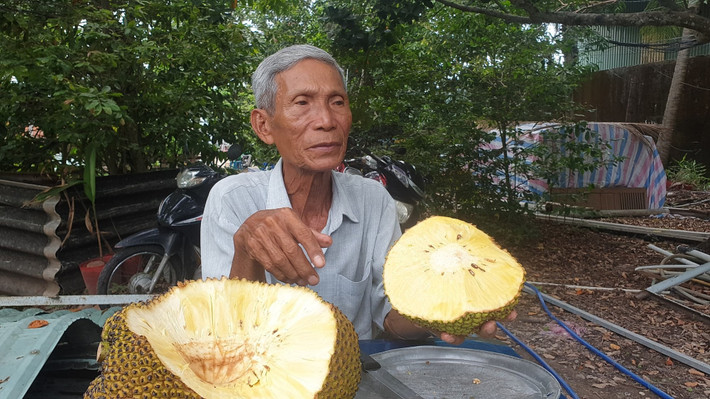 Với giá này, người mua phải trả hơn triệu đồng cho một trái mít nhưng vẫn hút khách. Ảnh: Dân Việt