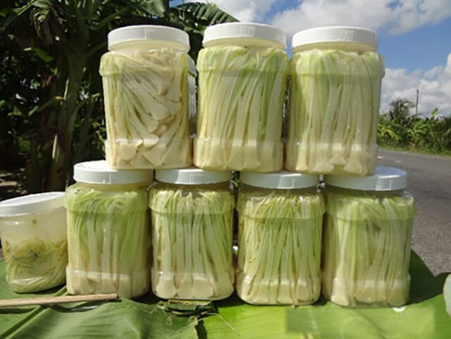 Bồn bồn tươi giá từ 30.000 - 40.000 đồng/kg, dưa bồn bồn muối chua từ 60.000 - 100.000 đồng/kg, tùy nơi. Ảnh: Internet