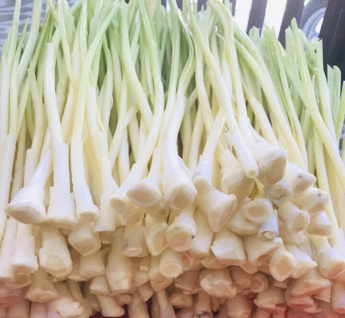 Hiện nay, bồn bồn được trồng và thu hoạch chuyên nghiệp, đóng gói sạch sẽ và phân phối vào siêu thị, nhà hàng...Ảnh: Facebook