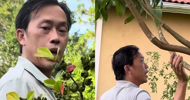 Mới đây, ca sĩ Dương Triệu Vũ chia sẻ một video quay lại cảnh anh cùng anh trai là NSƯT Hoài Linh ra thăm vườn nhà tại Mỹ. Ảnh chụp màn hình