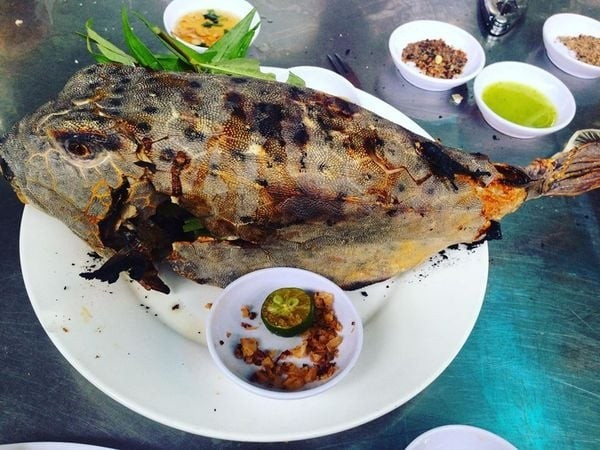 Cá bò hòm có thể chế biến thành nhiều món như nướng muối ớt, hấp gừng sả, nướng mọi...Ảnh: Đảo hải sản