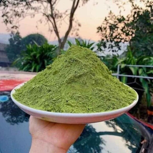 Ngoài lá tươi, trên thị trường còn bán lá găng khô và bột găng. Lá găng khô khoảng 100.000 đồng/kg, còn bột găng khoảng 300.000 đồng/kg. Ảnh: Facebook
