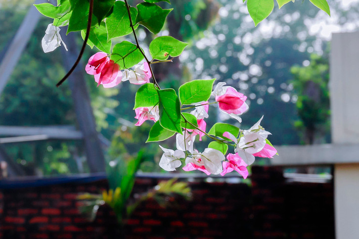 Các hoạt động tại khu nghỉ dưỡng này vẫn diễn ra bình thường. Fanpage của khu nghỉ dưỡng liên tục cập nhật hình ảnh không gian, cảnh sinh hoạt và các trải nghiệm của du khách. Ảnh: Facebook >>> Mời độc giả xem video: Hà Nội kiểm tra hơn 1.000 căn biệt thự cũ. Nguồn: VTV24