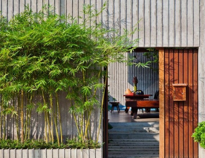 Tre là cây cảnh được nhiều người lựa chọn để trang trí trước cửa nhà. Trong phong thủy, cây tre mang lại nhiều may mắn cho gia chủ, giúp chủ nhân làm ăn phát đạt. Ảnh: Facebook