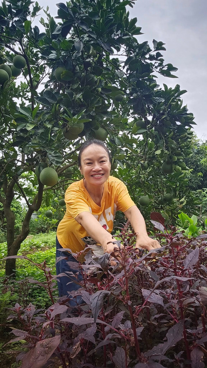 Bà xã đạo diễn Bùi Thạc Chuyên chọn cách sống giản dị, trồng rau trong vườn, làm bạn với đất và nắng gió. Ảnh: FB Oanh Le Tu