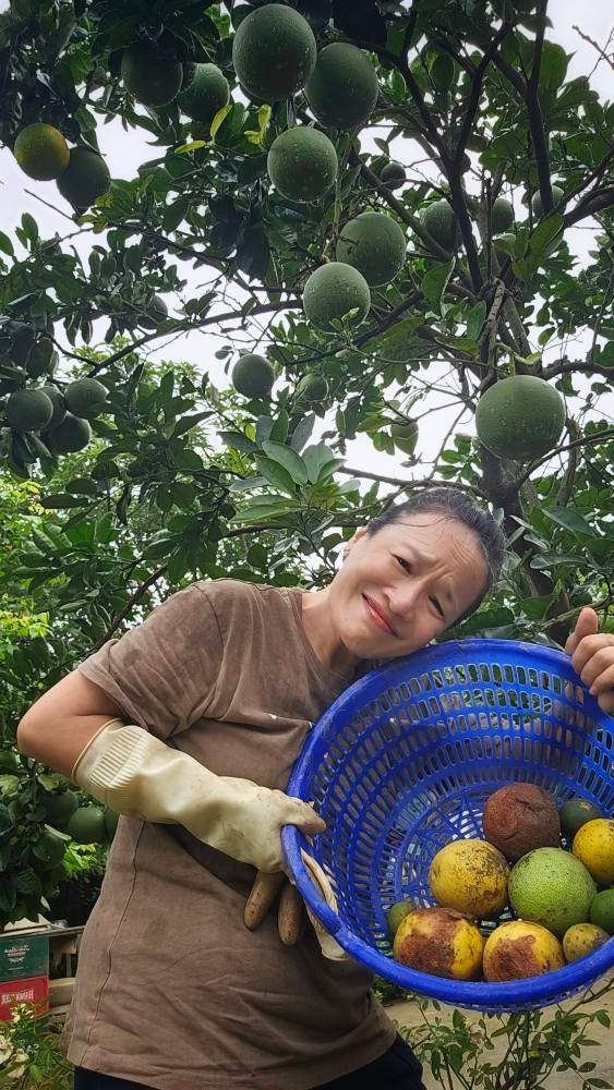 Ngoài rau, khu vườn của diễn viên Tú Oanh còn có nhiều cây ăn trái. Ảnh: FB Oanh Le Tu