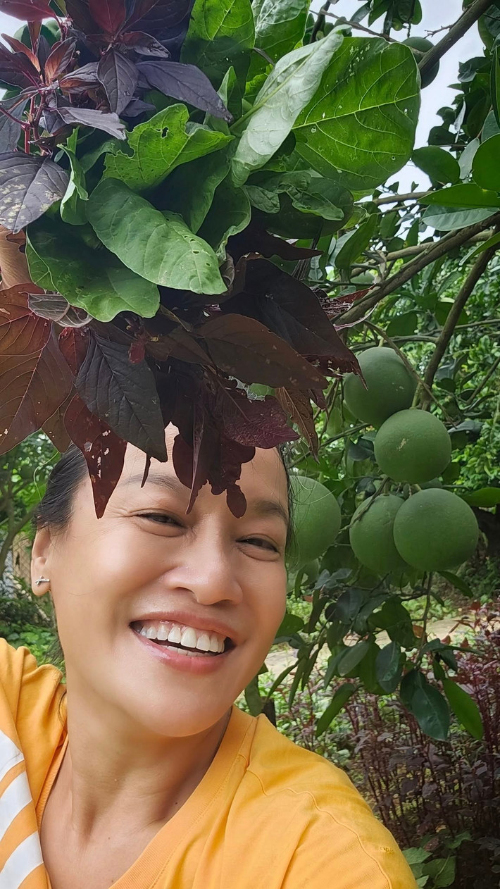 Cây bưởi lúc lỉu quả. Ảnh: FB Oanh Le Tu