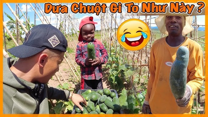 Sau khi Quang Linh Vlogs (Phạm Quang Linh, sinh năm 1997) vướng vòng lao lý vì quảng cáo sai sự thật, kênh YouTube Quang Linh Vlogs - Cuộc Sống ở Châu Phi vẫn duy trì hoạt động, đăng video đều đặn. Ảnh: YouTube